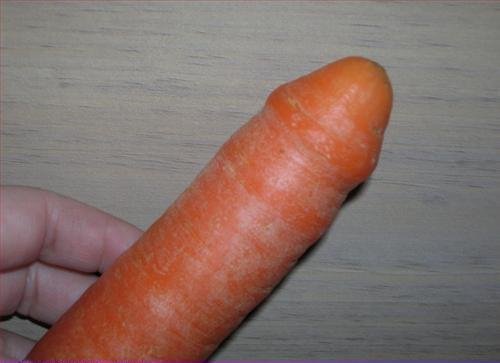 Image result for carrot cock