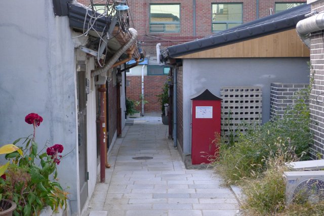 L1080834.jpg