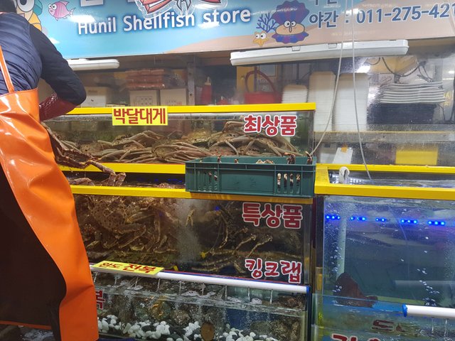 KakaoTalk_20181215_162147266.jpg