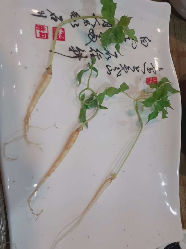KakaoTalk_20181215_195019452.jpg