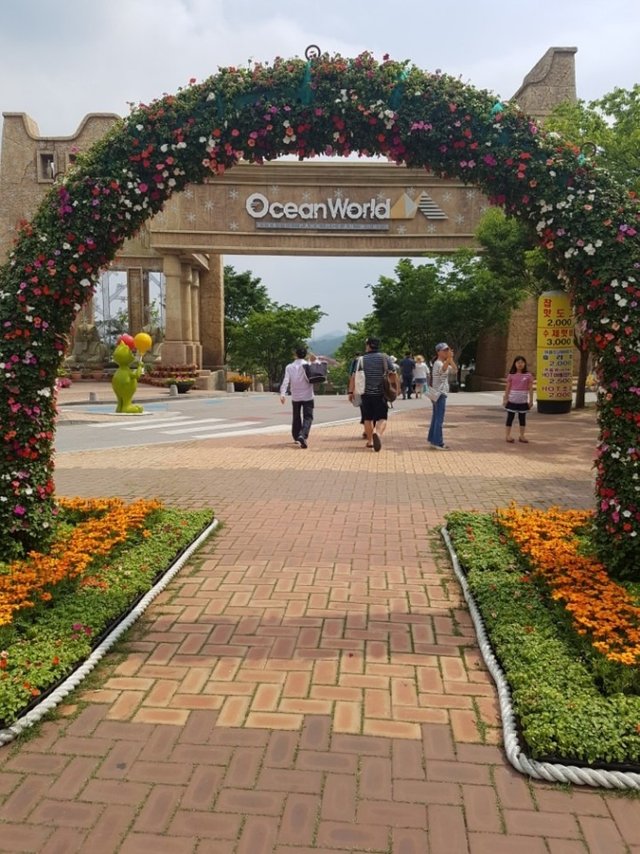 KakaoTalk_20180617_122453835.jpg