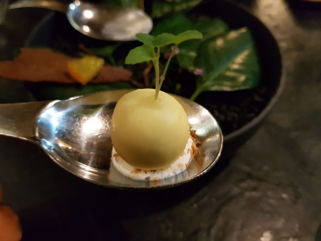 20190222_212941.jpg