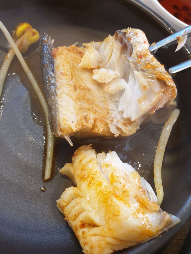 20190226_121853.jpg
