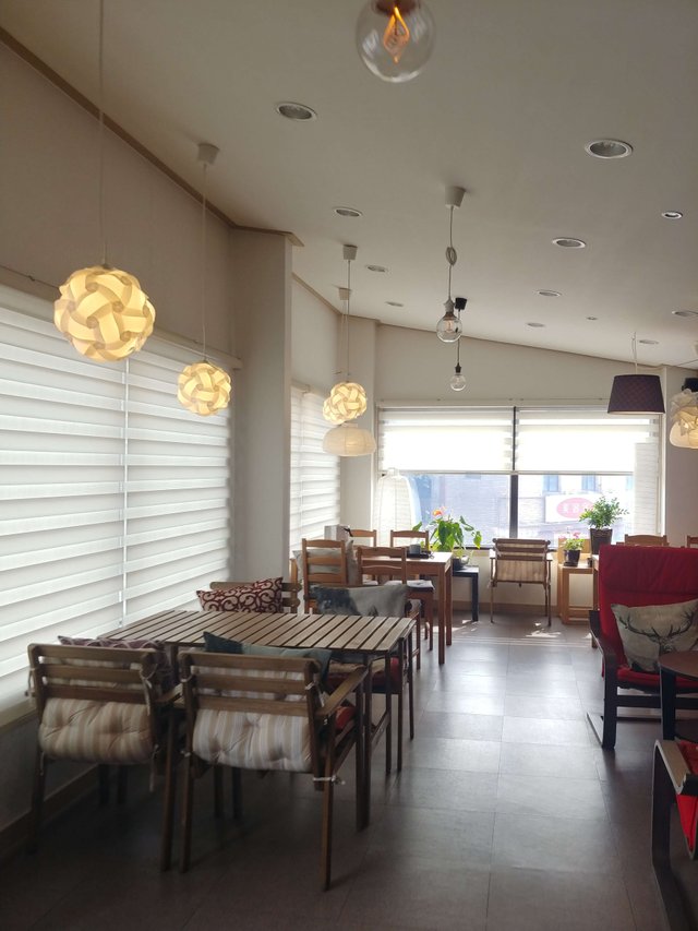 20190309_124750_HDR.jpg