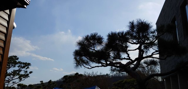 20190331_160855.jpg