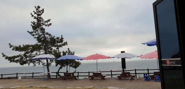 20190414_180301.jpg