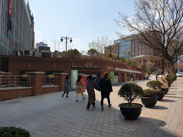 20190403_113016.jpg