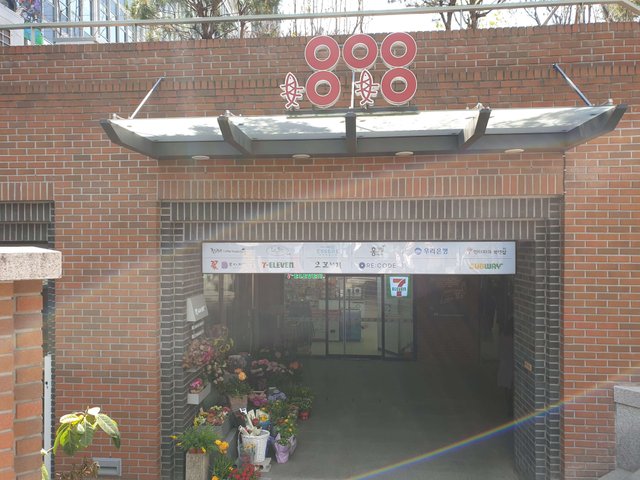 20190403_113030.jpg