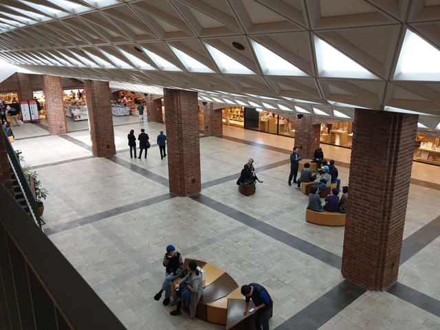 20190403_113145.jpg