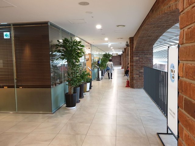 20190403_113200.jpg