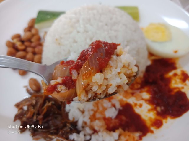 Weekly Choice A Taste Of Famosa Simple Nasi Lemak Steemit