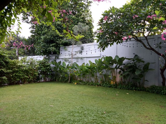PARK.jpg