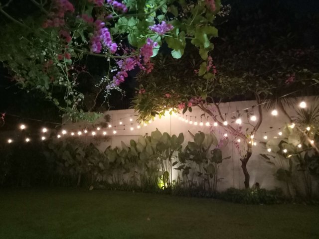 AT NIGHT.jpg