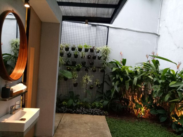 TOILET.jpg