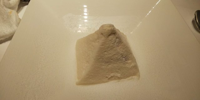 DSC_1232.JPG