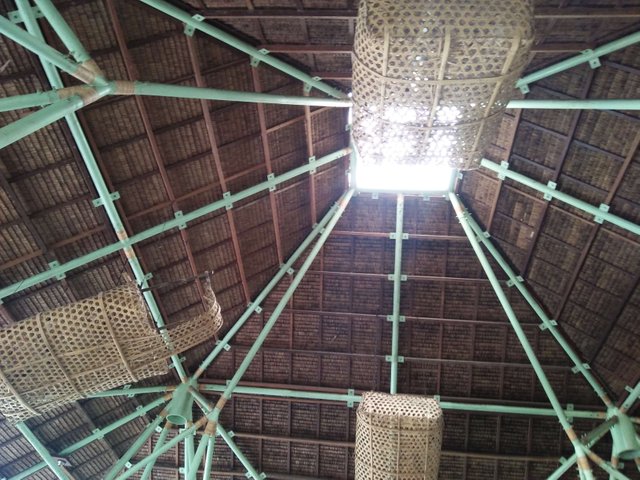 IMG20190501094902.jpg