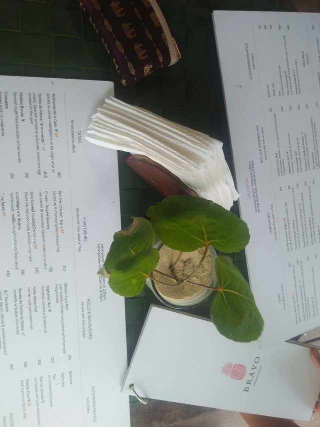 IMG20190501115933.jpg