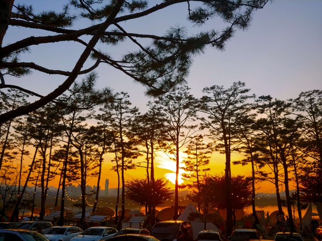 20181104_170726_HDR.jpg
