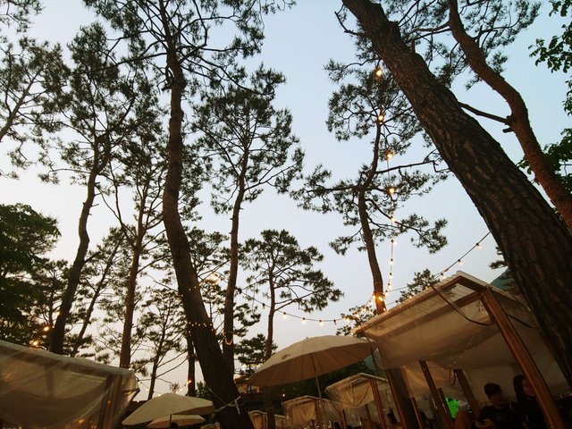 20190512_192125.jpg