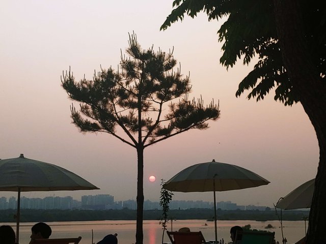 20190512_191019.jpg