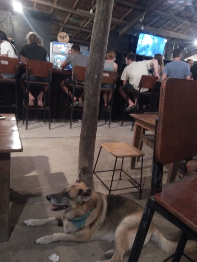 IMG20190429202151.jpg