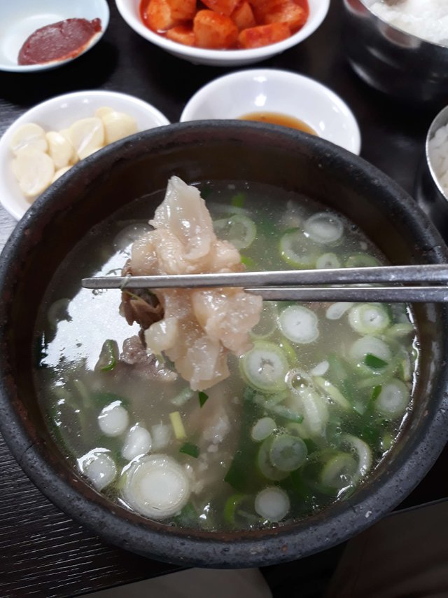 2019-05-01 15.44.48.jpg