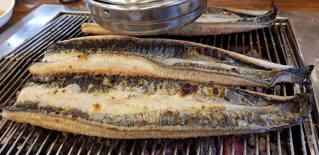 KakaoTalk_20190619_234408340.jpg