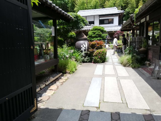 IMG_20190612_121554_1.jpg