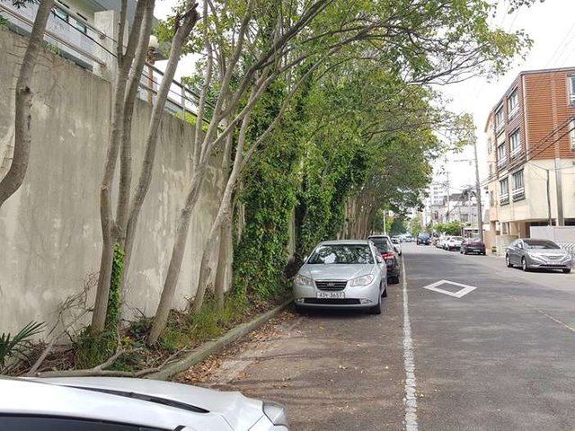 20190504_115153.jpg