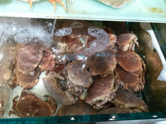 crab2.png