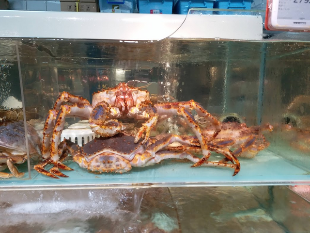 crab4.png