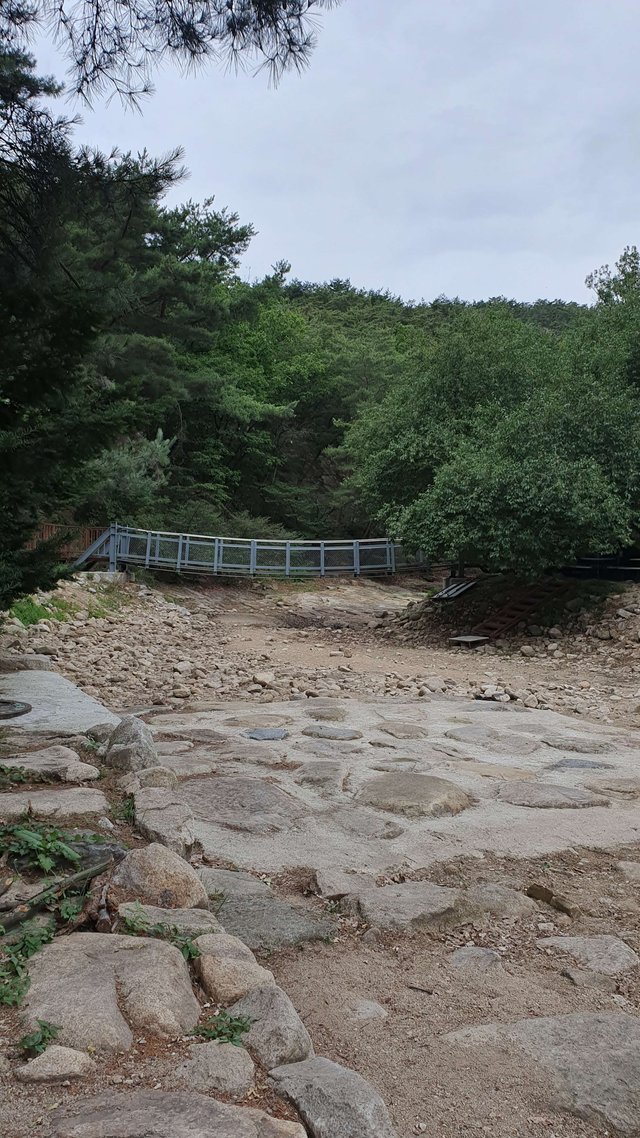 20190710_160912.jpg