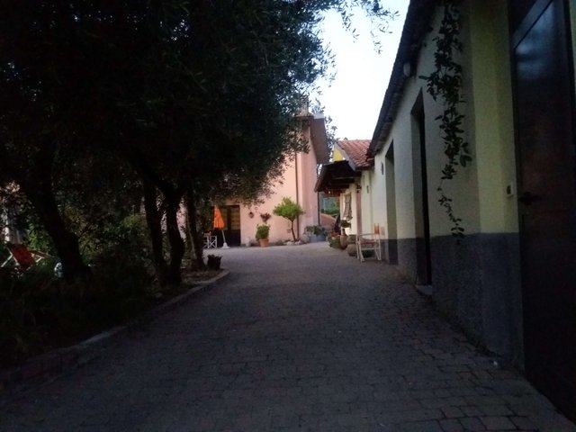 20190712_212401.jpg