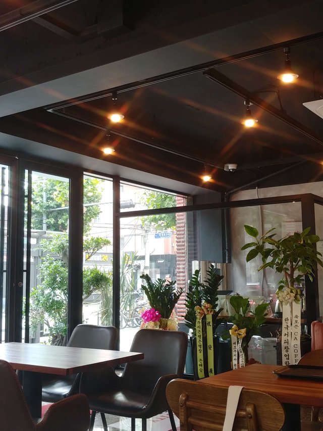 20190729_145433_HDR.jpg