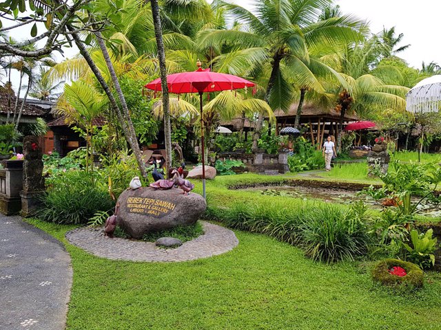 Nasi Uduk A Classic Indonesian Taste From Ubud Bali Steemit