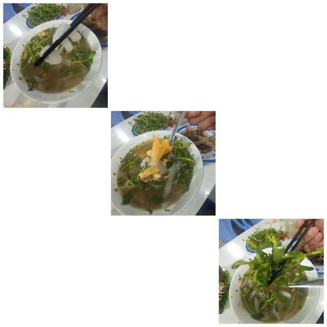 CollageMaker_20190913_193347842.jpg