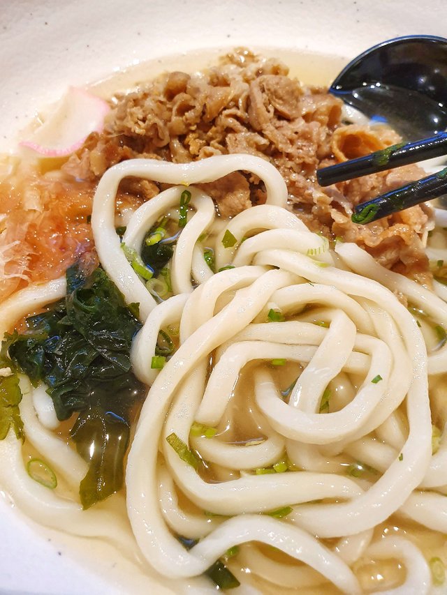 udon noodle closeup.png