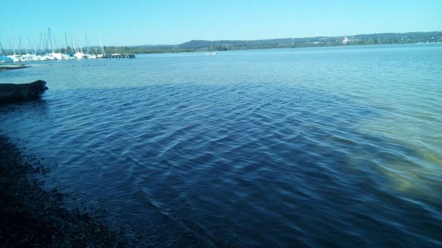 IMG_20180620_101315.jpg