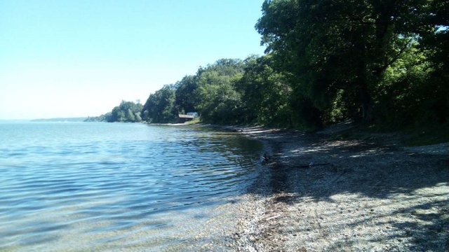 IMG_20180620_101248.jpg