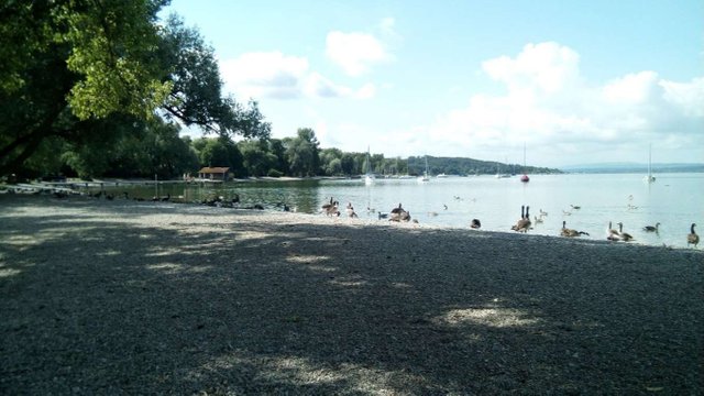 IMG_20180602_101721.jpg