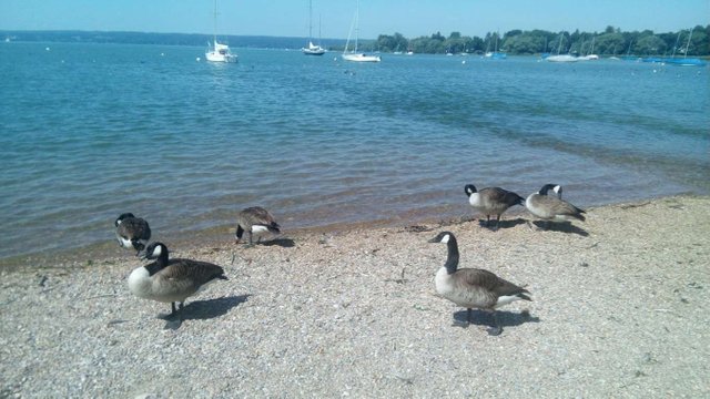 IMG_20180604_105140.jpg