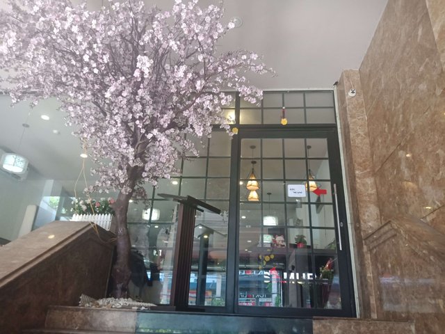 IMG20190623140014.jpg