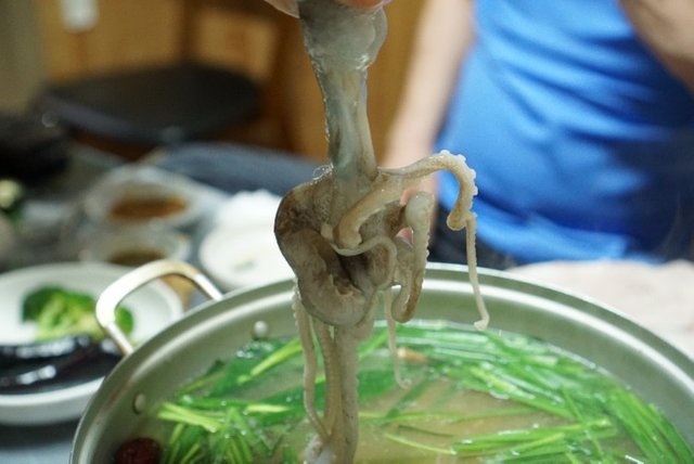 DSC04039.JPG