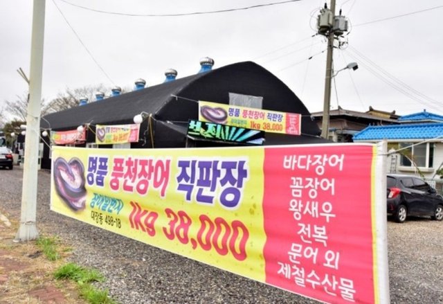 장어.JPG