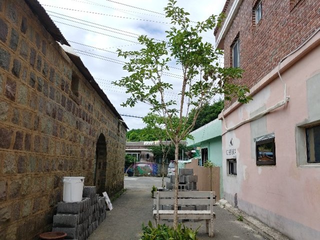 20180707_141712_HDR.jpg