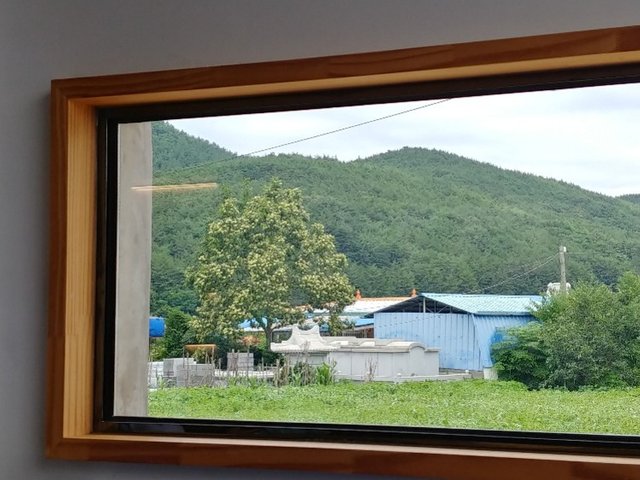 20180707_140809_HDR.jpg