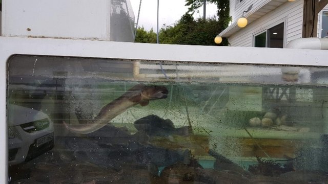 20180707_184435.jpg