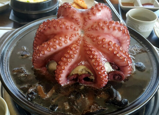 한방문어해신탕 전복.PNG