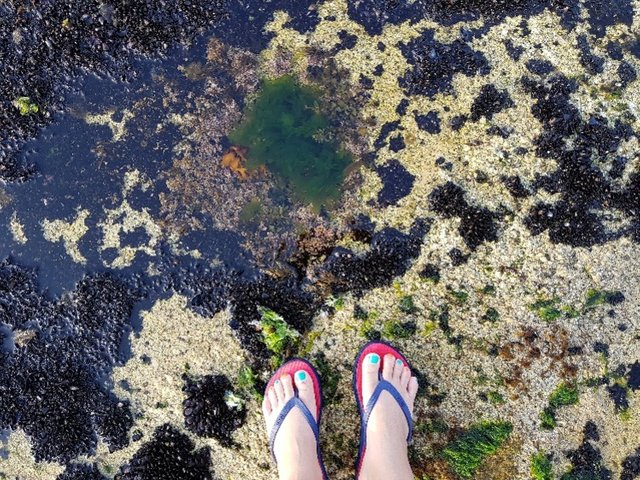 20180531_161013.jpg