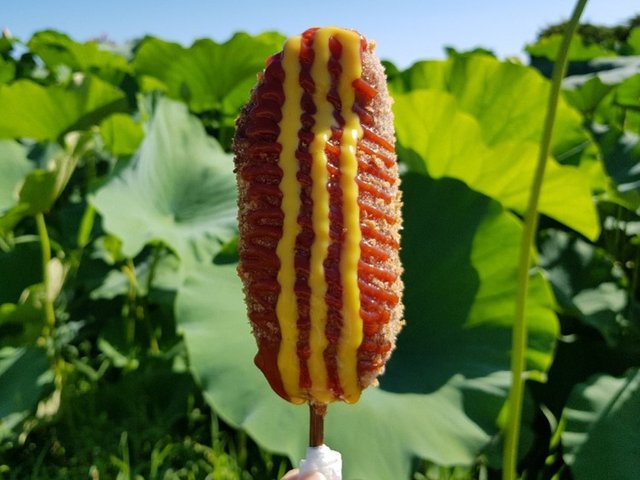 20180711_062348.jpg